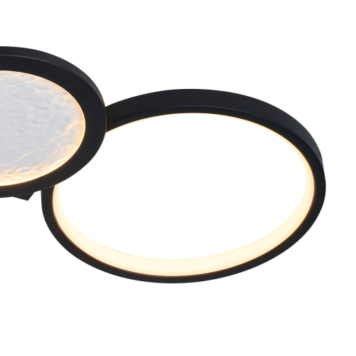 Потолочный светильник F-Promo Neumel 4700-4C изображение в интернет-магазине Cramer Light фото 3