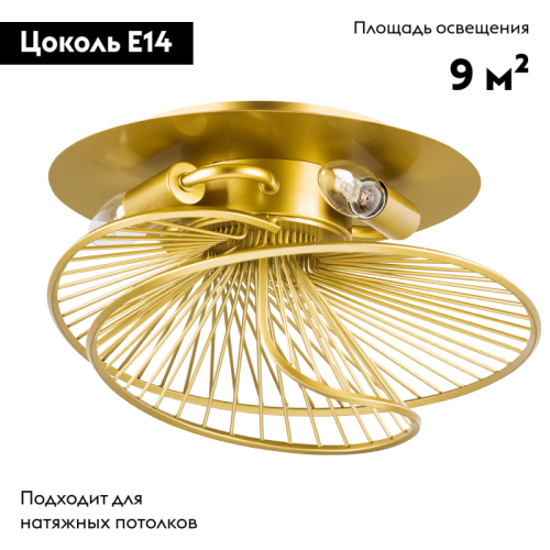 Потолочная люстра Lightstar Zeta 728133 изображение в интернет-магазине Cramer Light фото 2