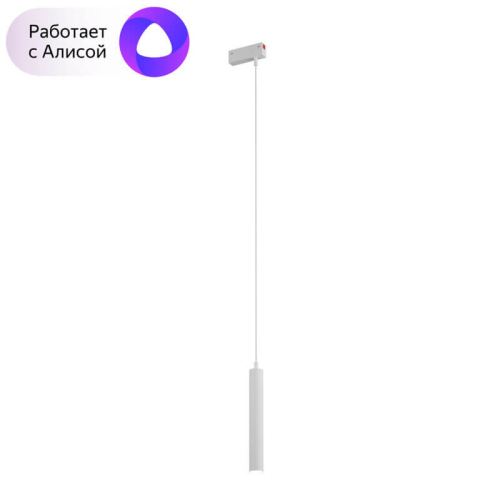 Трековый светильник Denkirs Smart DK8008-WH изображение в интернет-магазине Cramer Light фото 4