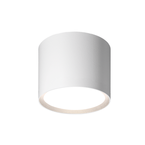 Накладной светильник Wolta Basic WSL-GX53/01W изображение в интернет-магазине Cramer Light