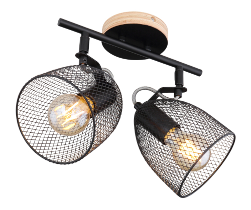 Спот Globo Josina 54034-2 изображение в интернет-магазине Cramer Light