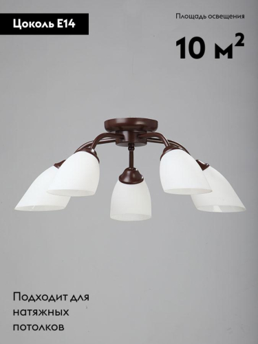 Потолочная люстра Vitaluce V3252/5PL изображение в интернет-магазине Cramer Light фото 2