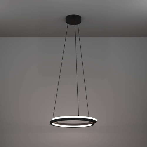 Подвесной светильник Eglo Mezzomonte 901822 изображение в интернет-магазине Cramer Light фото 6