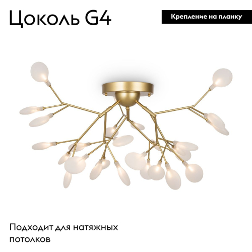 Потолочная люстра Freya Florencia FR5049CL-27G изображение в интернет-магазине Cramer Light фото 2