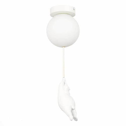 Потолочный светильник Evoluce Modena SLE115402-01 изображение в интернет-магазине Cramer Light фото 2