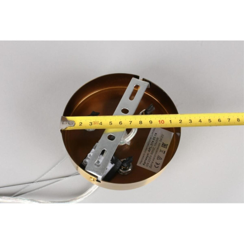 Подвесная люстра Aployt Letizia APL.314.03.14 изображение в интернет-магазине Cramer Light фото 21