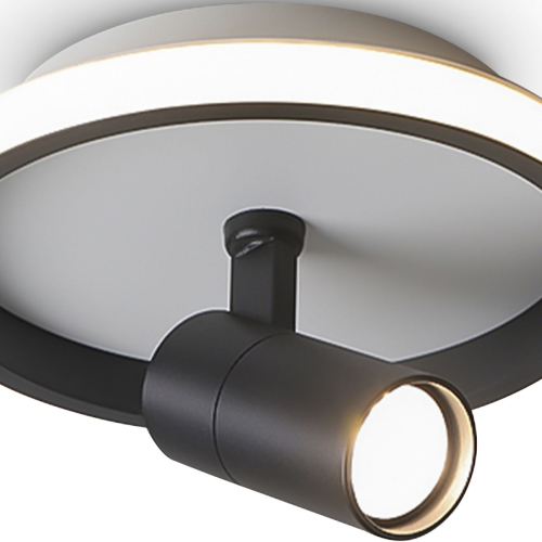 Потолочный светильник Freya Neo FR6040CL-L14B изображение в интернет-магазине Cramer Light фото 9