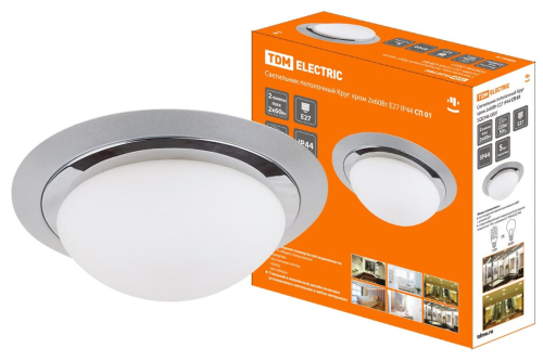 Потолочный светильник TDM Electric СП 01 SQ0346-0001 изображение в интернет-магазине Cramer Light