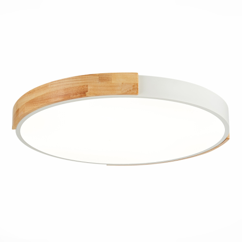 Потолочный светильник Evoluce Delia SLE201352-01 изображение в интернет-магазине Cramer Light