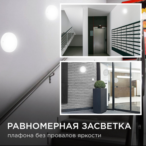 Настенно-потолочный светильник Apeyron 28-10 изображение в интернет-магазине Cramer Light фото 7