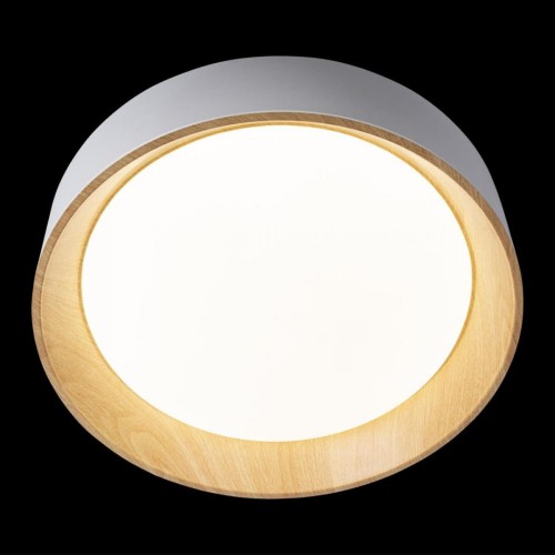 Потолочный светильник Loft IT Coin 10202 White изображение в интернет-магазине Cramer Light фото 4