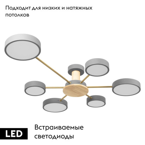Потолочная люстра Loft IT Sunrise 10316/6 Grey изображение в интернет-магазине Cramer Light фото 2