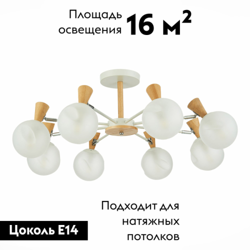 Потолочная люстра Evoluce Catania SLE220702-08 изображение в интернет-магазине Cramer Light фото 2