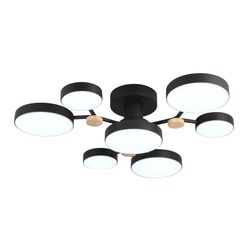 Потолочная люстра LED4U L3201-700 BK изображение в интернет-магазине Cramer Light фото 3