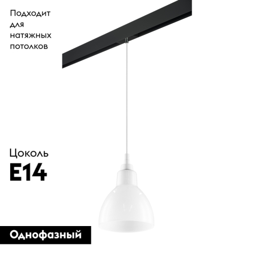 Трековый светильник Lightstar Loft PRO865016 (865016+595007) изображение в интернет-магазине Cramer Light фото 2