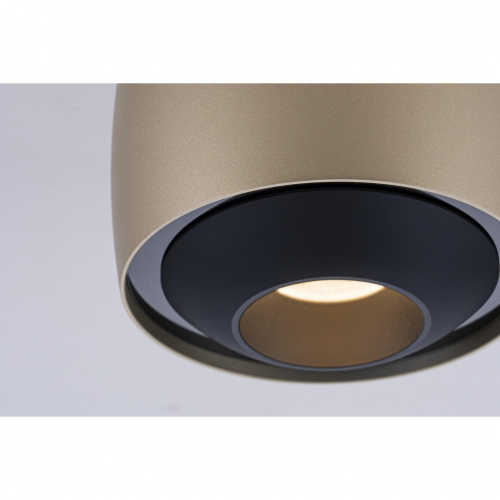 Потолочный светильник iLedex Technical VISION 300 CHAMPAGNE изображение в интернет-магазине Cramer Light фото 3