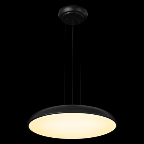 Подвесной светильник Loft IT Dime 10371P Black изображение в интернет-магазине Cramer Light фото 2