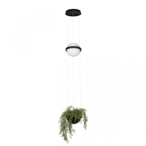 Подвесной светильник Loft IT Jardin 10121/B изображение в интернет-магазине Cramer Light