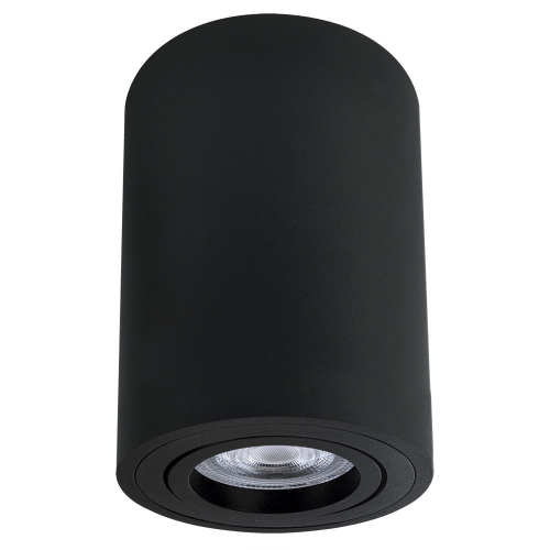 Накладной светильник Arte Lamp Sentry A1566PL-1BK изображение в интернет-магазине Cramer Light