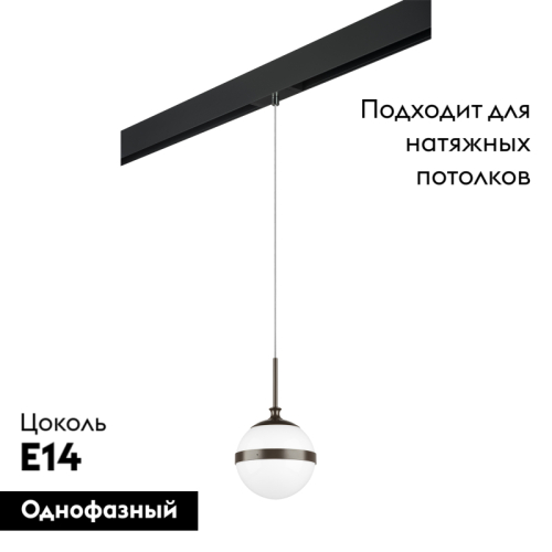 Трековый светильник Lightstar Globo PRO813117 (813117+595007) изображение в интернет-магазине Cramer Light фото 2