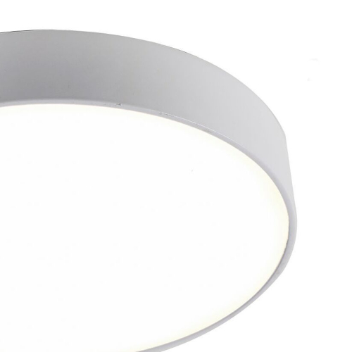 Потолочный светодиодный светильник Favourite Flashled 2065-30C изображение в интернет-магазине Cramer Light фото 3