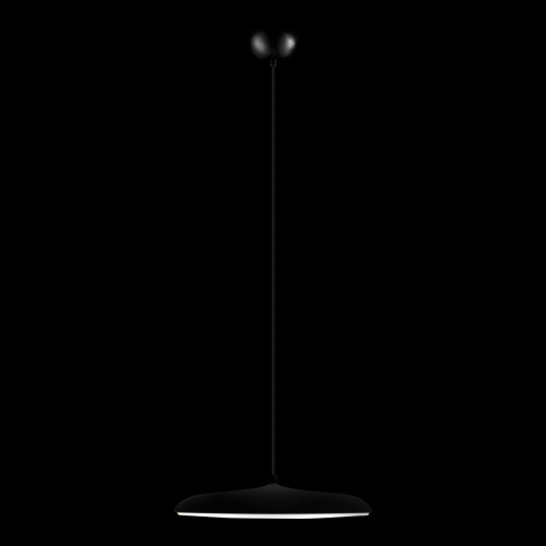 Подвесной светильник Loft IT Plato 10119 Black изображение в интернет-магазине Cramer Light фото 2