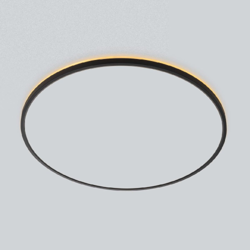 Потолочный светильник Citilux Norma CL748601 изображение в интернет-магазине Cramer Light фото 3