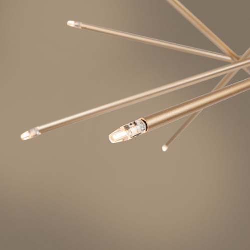 Подвесной светильник Freya Сane FR5337PL-12G изображение в интернет-магазине Cramer Light фото 6