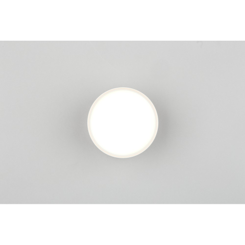 Накладной светильник Omnilux Abano OML-103309-06 изображение в интернет-магазине Cramer Light фото 5