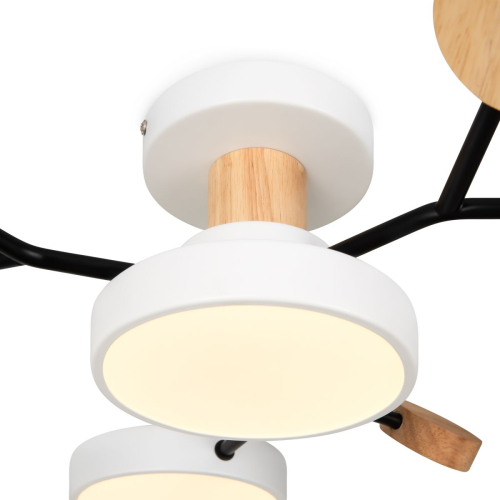 Потолочный светильник Freya Crown FR6119CL-L48W изображение в интернет-магазине Cramer Light фото 10