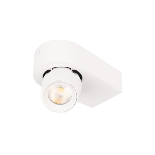 Накладной спот Loft IT Quiet 10320 White изображение в интернет-магазине Cramer Light