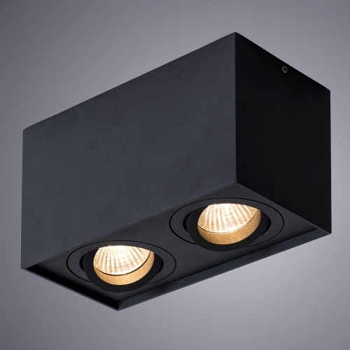 Потолочный светильник Arte Lamp Factor A5544PL-2BK изображение в интернет-магазине Cramer Light фото 4
