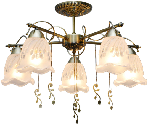 Потолочная люстра Toplight Delia TL1195X-05AB изображение в интернет-магазине Cramer Light