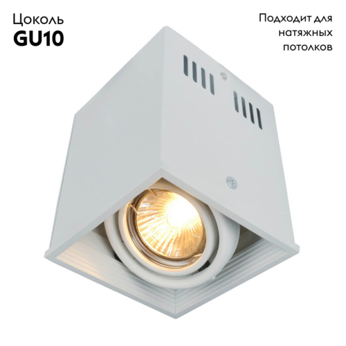 Потолочный светильник Arte Lamp Cardani A5942PL-1WH изображение в интернет-магазине Cramer Light фото 2