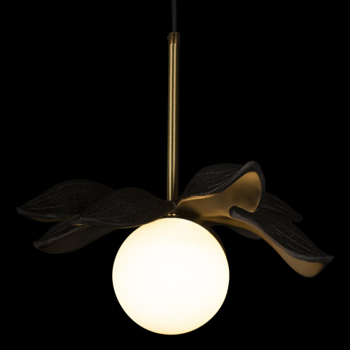Подвесной светильник Loft IT Monro 10213/A Black изображение в интернет-магазине Cramer Light фото 4
