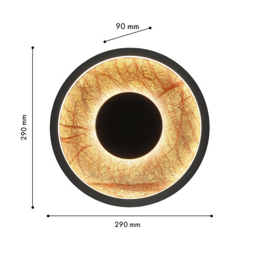 Настенный светильник Favourite Tallar 4445-1W изображение в интернет-магазине Cramer Light фото 3