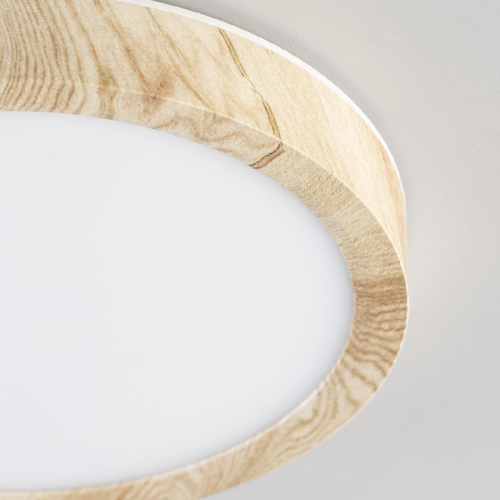 Потолочный светильник Citilux Бейсик CL738122N изображение в интернет-магазине Cramer Light фото 2