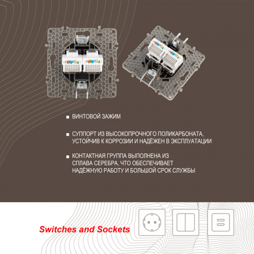 Розетка RJ45 Arte Milano 217.45-2.shampan дополнительное фото фото 2