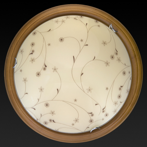 Настенно-потолочный светодиодный светильник Toplight Karissa TL9650Y-00OA изображение в интернет-магазине Cramer Light фото 3