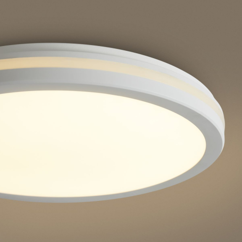 Потолочный светильник Freya Rua FR6160CL-L40W изображение в интернет-магазине Cramer Light фото 8