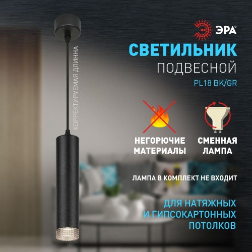 Подвесной светильник Эра PL18 BK/GR Б0058484 изображение в интернет-магазине Cramer Light фото 9