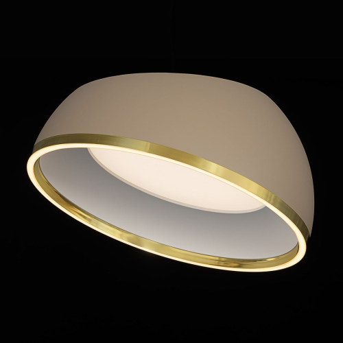 Потолочный светильник Citilux Floom CL736152 изображение в интернет-магазине Cramer Light фото 8