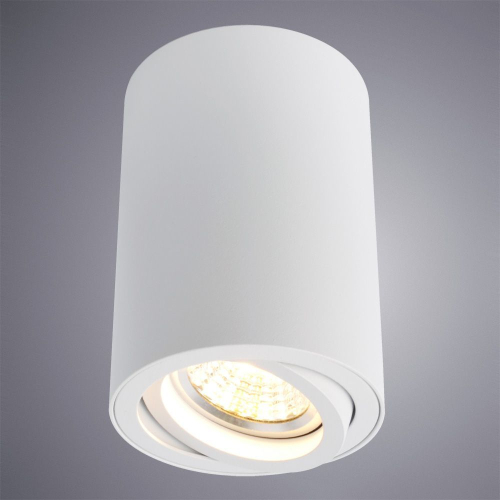 Потолочный светильник Arte Lamp A1560PL-1WH изображение в интернет-магазине Cramer Light фото 3
