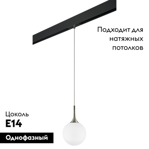 Трековый светильник Lightstar Globo PRO813021 (813021+595007) изображение в интернет-магазине Cramer Light фото 2