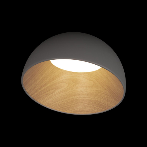 Потолочный светильник Loft IT Egg 10197/350 Grey изображение в интернет-магазине Cramer Light фото 2