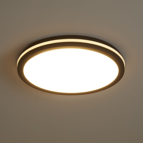 Потолочный светильник Freya Rua FR6160CL-L40B изображение в интернет-магазине Cramer Light фото 5