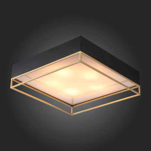 Накладная люстра ST-Luce SL1127.422.05 изображение в интернет-магазине Cramer Light фото 3