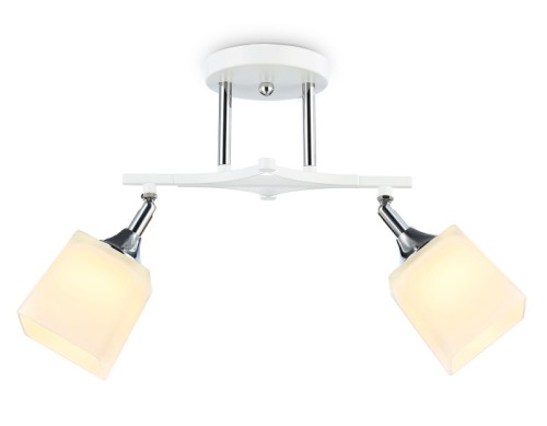 Люстра на штанге Ambrella Light Modern TR303062 изображение в интернет-магазине Cramer Light