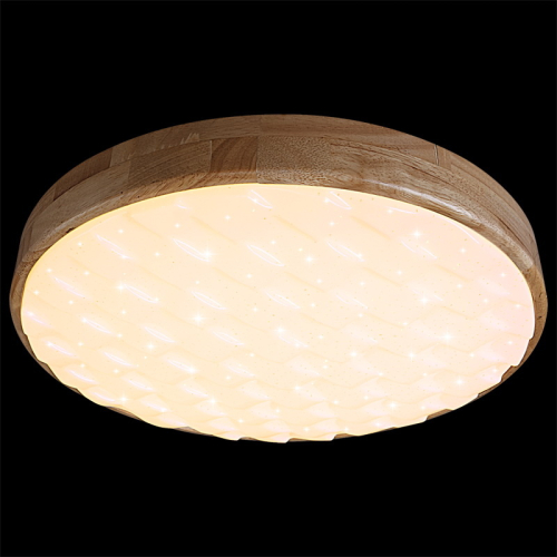 Потолочный светильник Reluce 60530-0.2-60W изображение в интернет-магазине Cramer Light