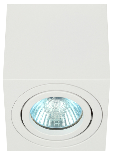 Накладной светильник Эра OL22 WH Б0054394 изображение в интернет-магазине Cramer Light